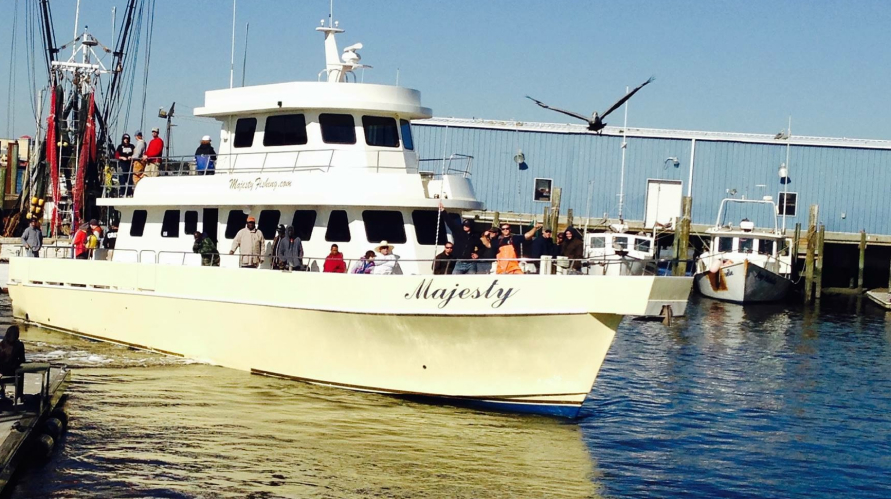 Majesty Fishing